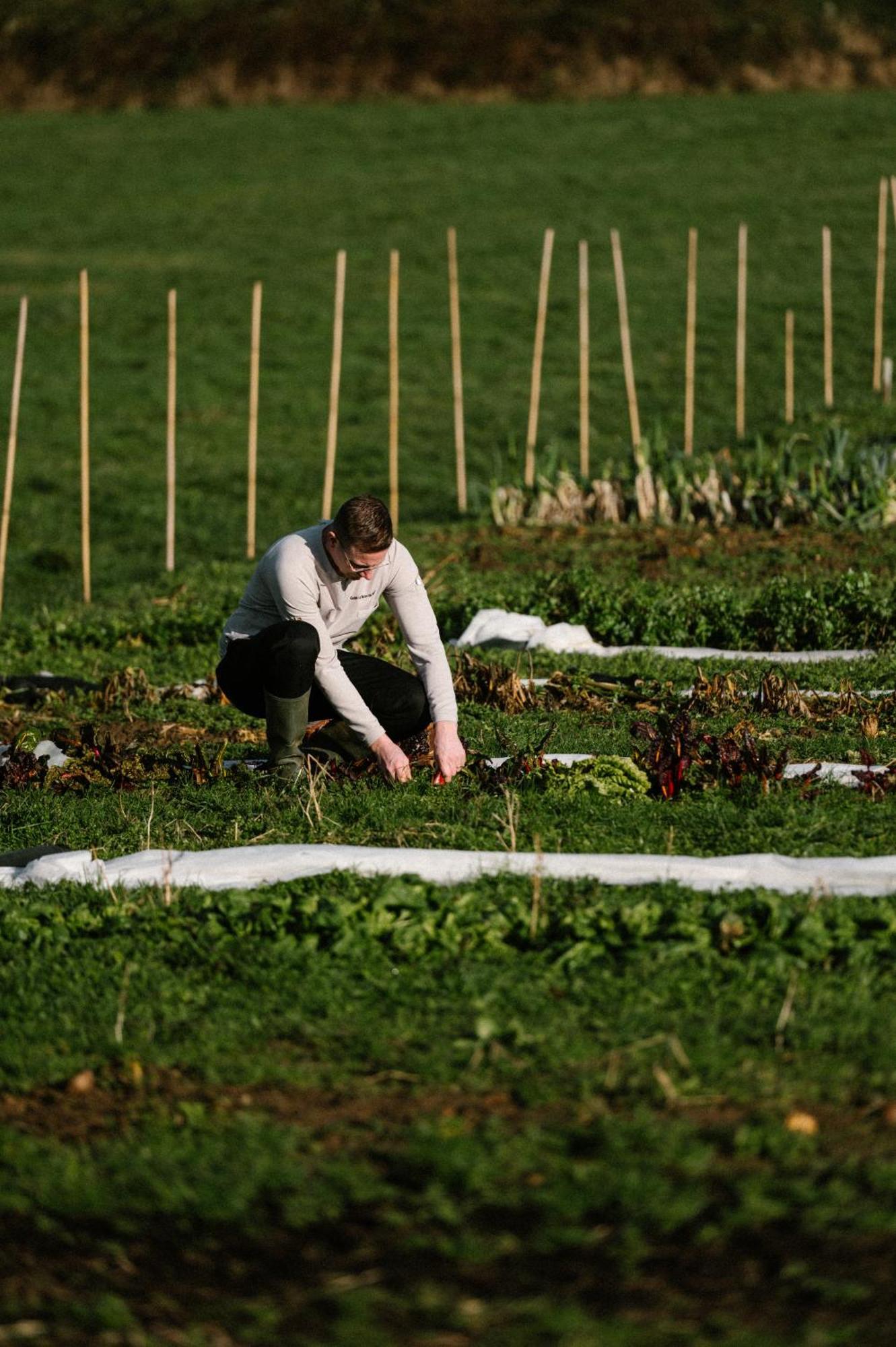 Chateau St Gerlach - Oostwegel Collection, Member Of Relais And Chateaux Valkenburg aan de Geul Екстериор снимка A farmer working in a field